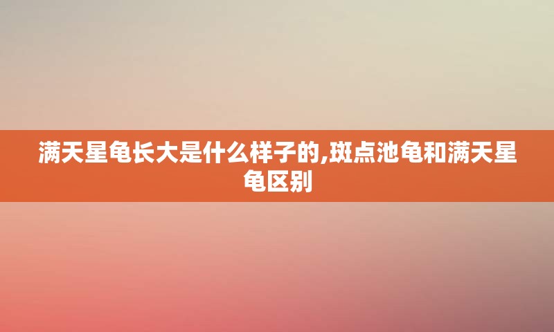 满天星龟长大是什么样子的,斑点池龟和满天星龟区别