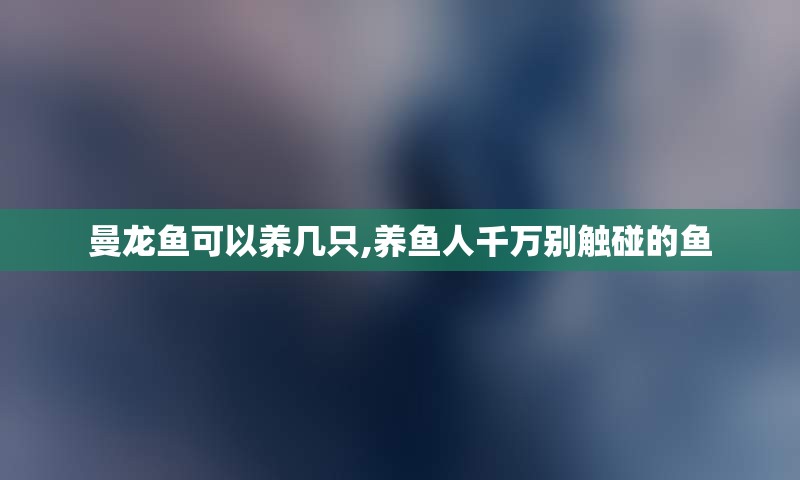 曼龙鱼可以养几只,养鱼人千万别触碰的鱼