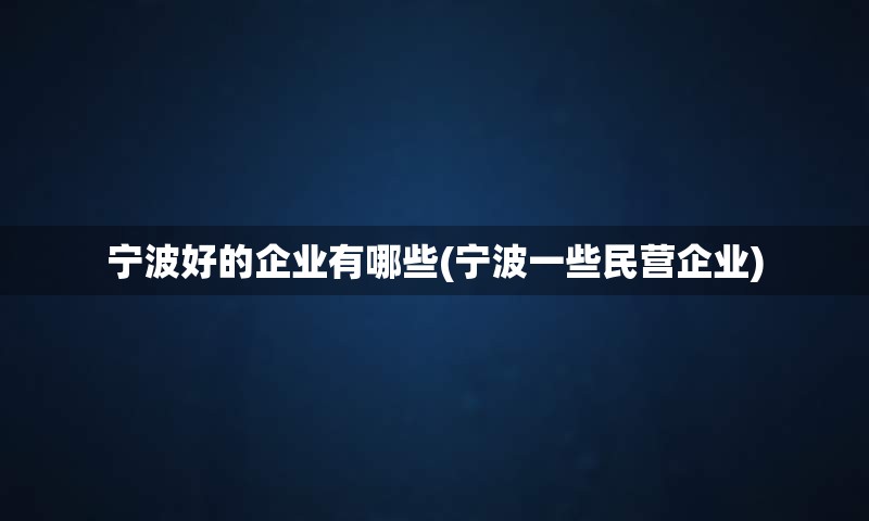 宁波好的企业有哪些(宁波一些民营企业)
