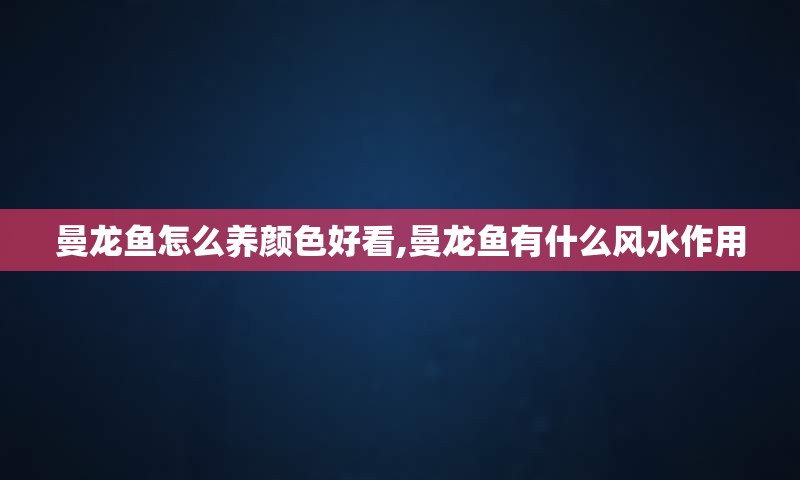 曼龙鱼怎么养颜色好看,曼龙鱼有什么风水作用