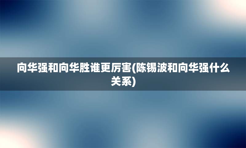 向华强和向华胜谁更厉害(陈锡波和向华强什么关系)