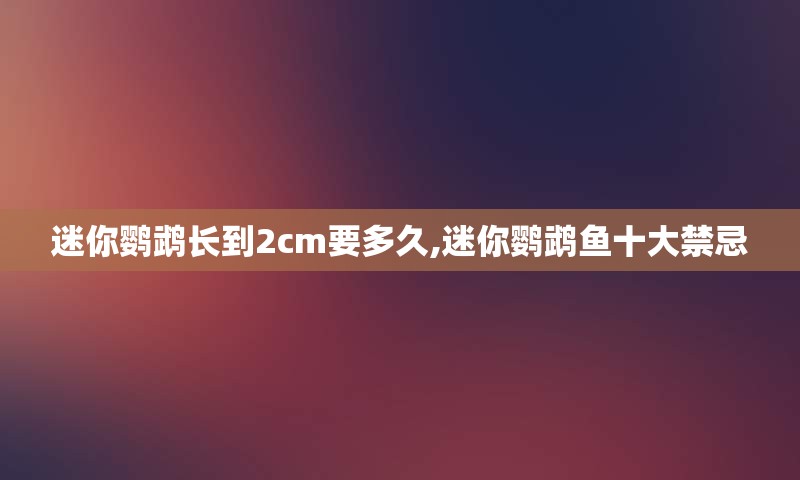 迷你鹦鹉长到2cm要多久,迷你鹦鹉鱼十大禁忌