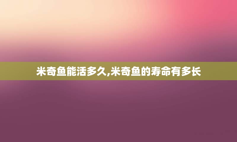 米奇鱼能活多久,米奇鱼的寿命有多长
