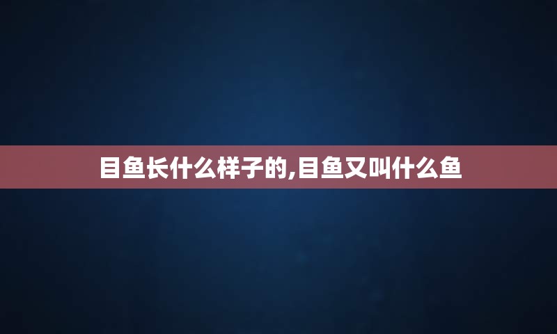 目鱼长什么样子的,目鱼又叫什么鱼