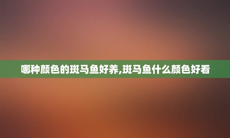 哪种颜色的斑马鱼好养,斑马鱼什么颜色好看