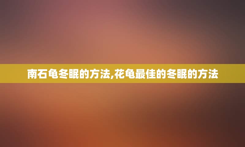南石龟冬眠的方法,花龟最佳的冬眠的方法