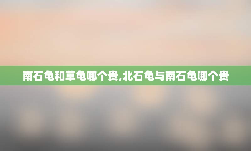 南石龟和草龟哪个贵,北石龟与南石龟哪个贵