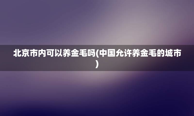 北京市内可以养金毛吗(中国允许养金毛的城市)