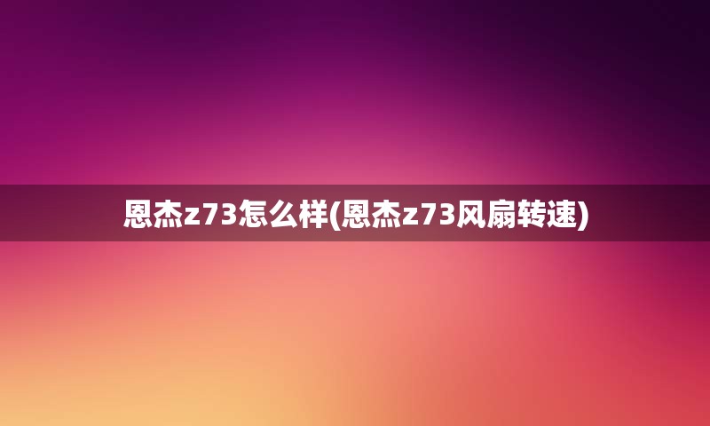 恩杰z73怎么样(恩杰z73风扇转速)