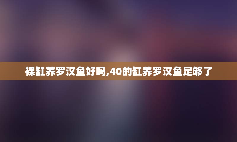 裸缸养罗汉鱼好吗,40的缸养罗汉鱼足够了