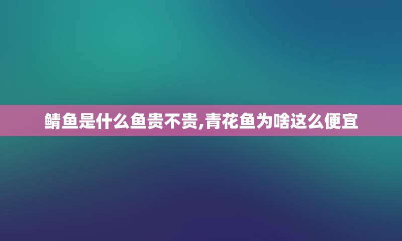 鲭鱼是什么鱼贵不贵,青花鱼为啥这么便宜