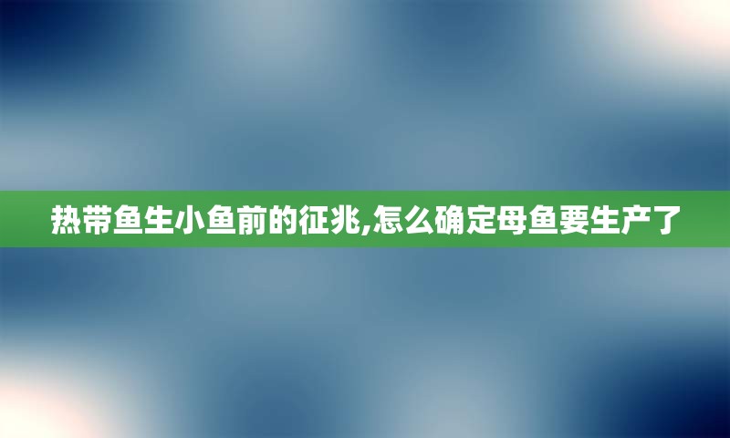 热带鱼生小鱼前的征兆,怎么确定母鱼要生产了