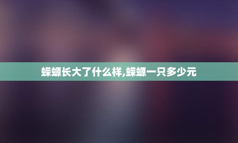 蝾螈长大了什么样,蝾螈一只多少元