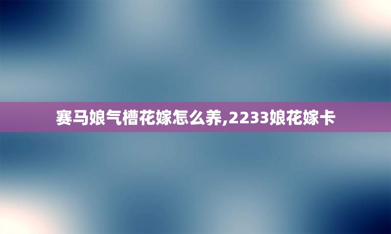 赛马娘气槽花嫁怎么养,2233娘花嫁卡