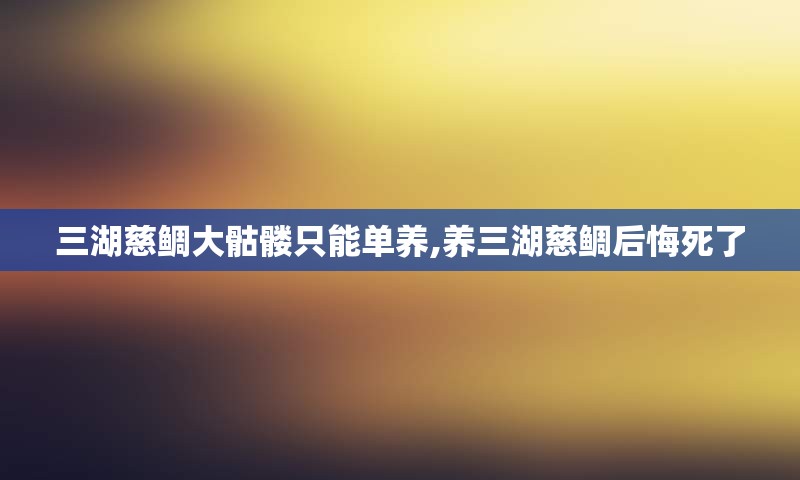 三湖慈鲷大骷髅只能单养,养三湖慈鲷后悔死了