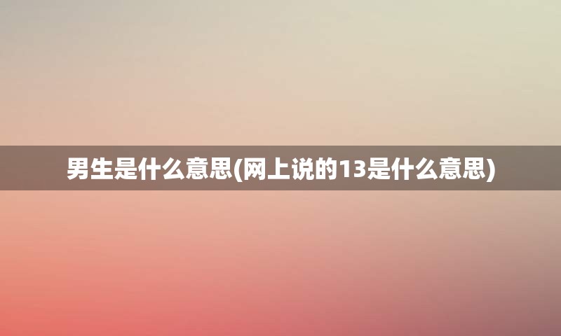 男生是什么意思(网上说的13是什么意思)