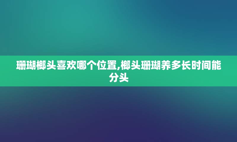 珊瑚榔头喜欢哪个位置,榔头珊瑚养多长时间能分头