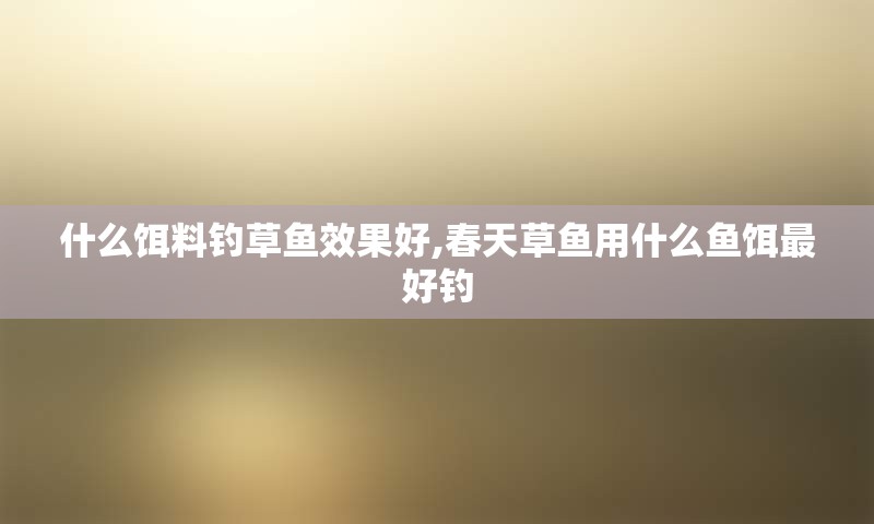 什么饵料钓草鱼效果好,春天草鱼用什么鱼饵最好钓