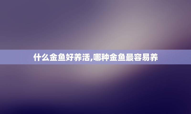 什么金鱼好养活,哪种金鱼最容易养