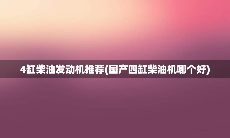 4缸柴油发动机推荐(国产四缸柴油机哪个好)