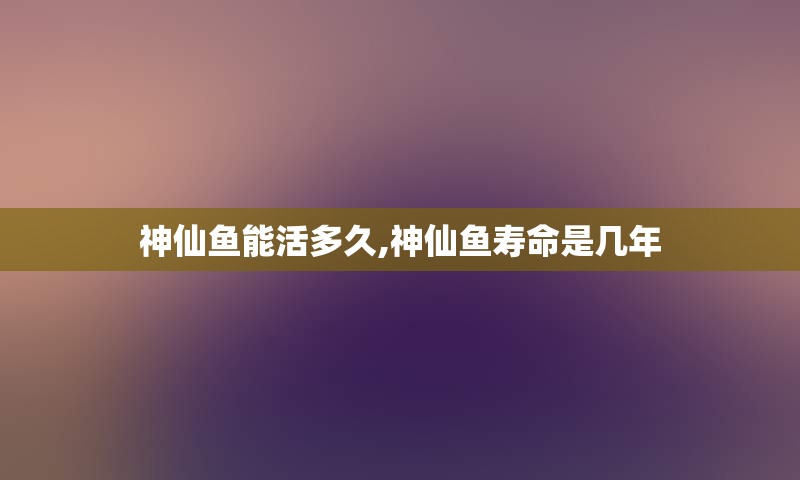 神仙鱼能活多久,神仙鱼寿命是几年