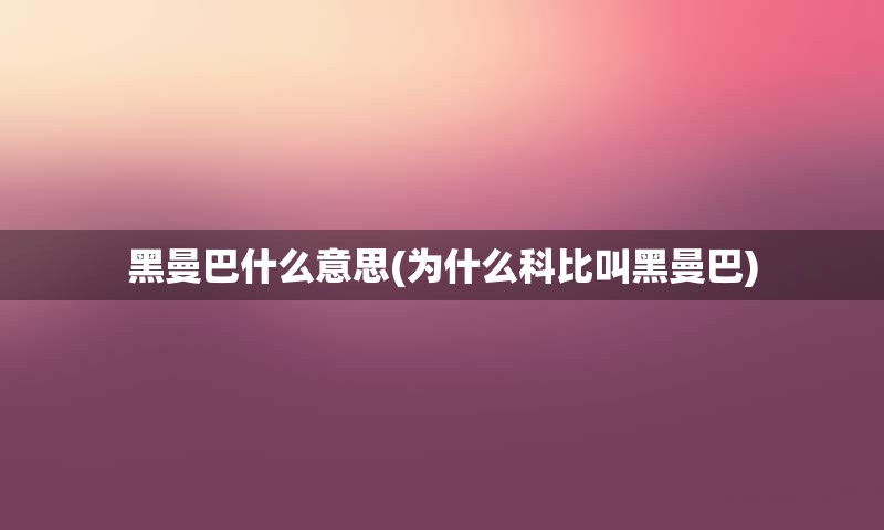 黑曼巴什么意思(为什么科比叫黑曼巴)