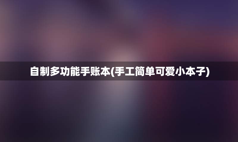 自制多功能手账本(手工简单可爱小本子)