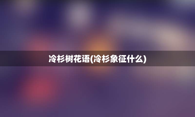 冷杉树花语(冷杉象征什么)