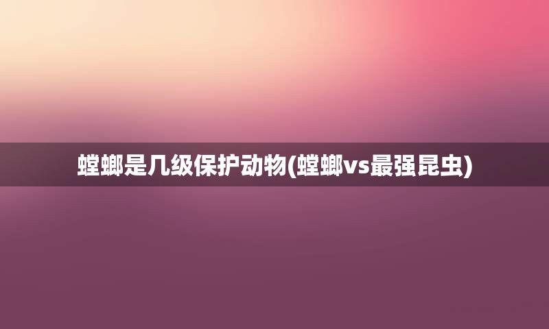 螳螂是几级保护动物(螳螂vs最强昆虫)