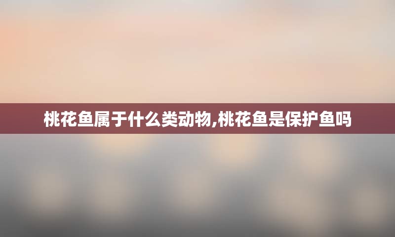 桃花鱼属于什么类动物,桃花鱼是保护鱼吗