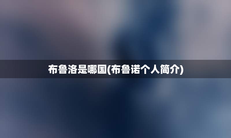 布鲁洛是哪国(布鲁诺个人简介)