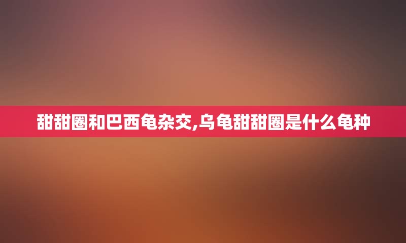 甜甜圈和巴西龟杂交,乌龟甜甜圈是什么龟种