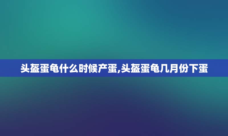 头盔蛋龟什么时候产蛋,头盔蛋龟几月份下蛋