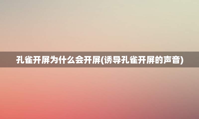 孔雀开屏为什么会开屏(诱导孔雀开屏的声音)