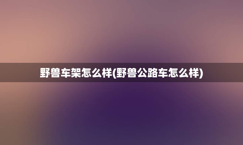 野兽车架怎么样(野兽公路车怎么样)