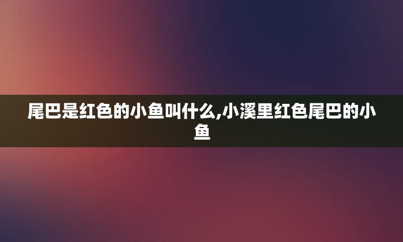尾巴是红色的小鱼叫什么,小溪里红色尾巴的小鱼
