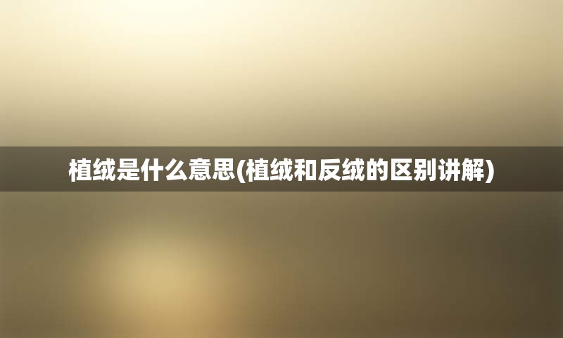 植绒是什么意思(植绒和反绒的区别讲解)