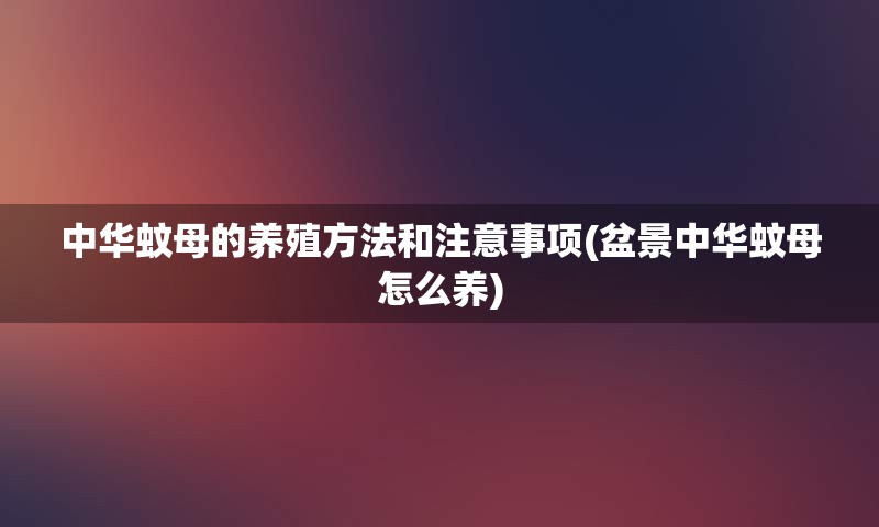 中华蚊母的养殖方法和注意事项(盆景中华蚊母怎么养)