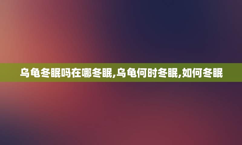 乌龟冬眠吗在哪冬眠,乌龟何时冬眠,如何冬眠