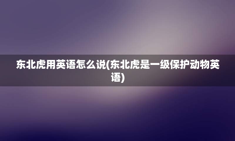 东北虎用英语怎么说(东北虎是一级保护动物英语)