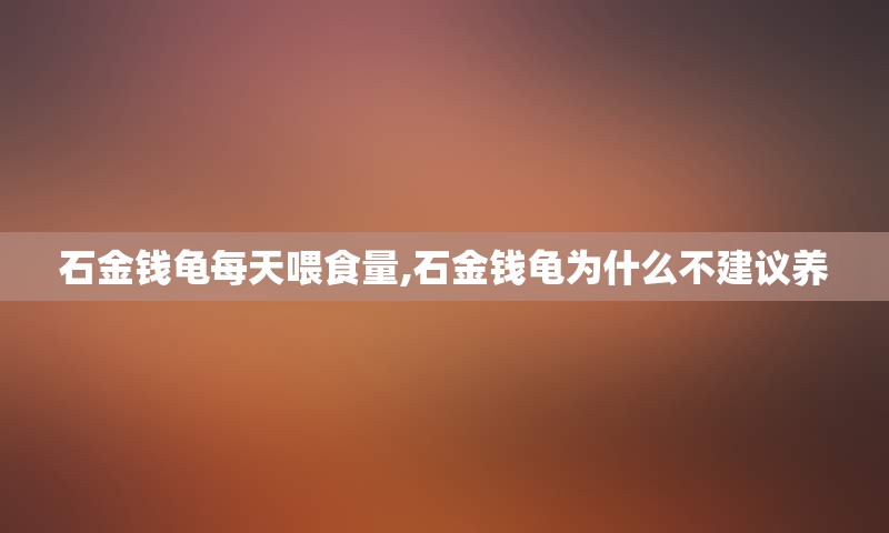 石金钱龟每天喂食量,石金钱龟为什么不建议养