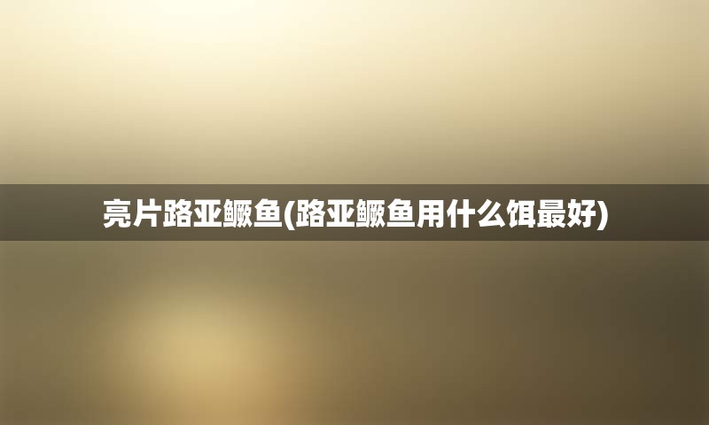 亮片路亚鳜鱼(路亚鳜鱼用什么饵最好)