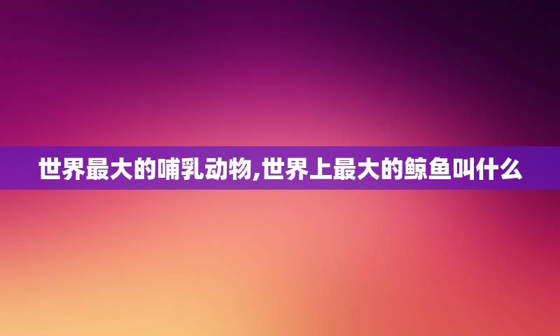 世界最大的哺乳动物,世界上最大的鲸鱼叫什么
