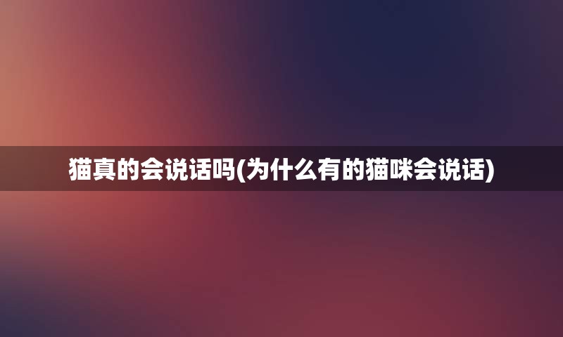 猫真的会说话吗(为什么有的猫咪会说话)