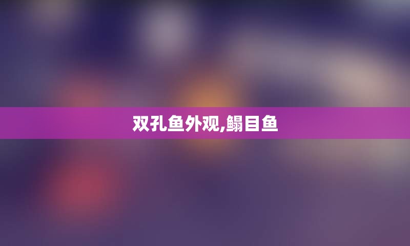 双孔鱼外观,鳎目鱼