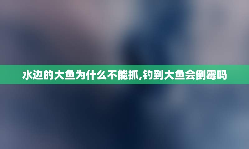 水边的大鱼为什么不能抓,钓到大鱼会倒霉吗