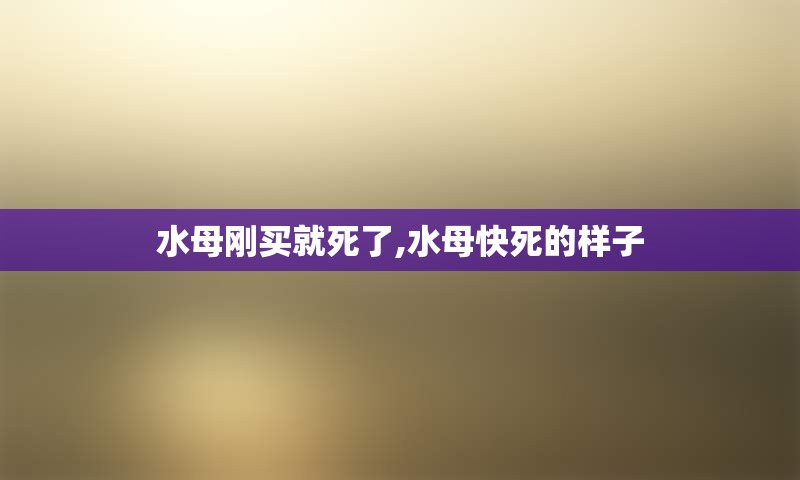 水母刚买就死了,水母快死的样子