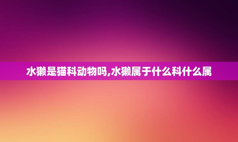 水獭是猫科动物吗,水獭属于什么科什么属