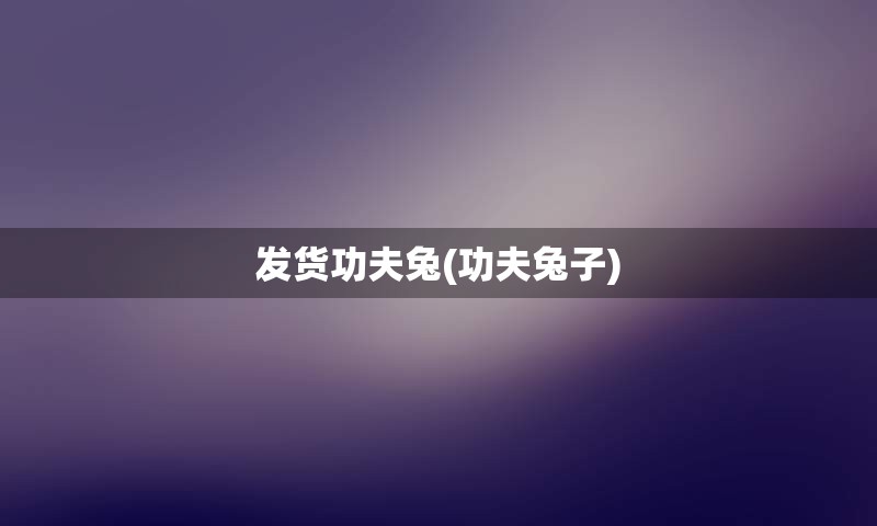 发货功夫兔(功夫兔子)