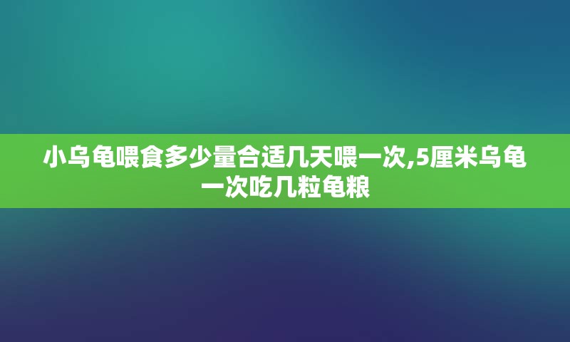 小乌龟喂食多少量合适几天喂一次,5厘米乌龟一次吃几粒龟粮